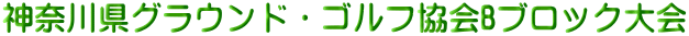 神奈川県グラウンド・ゴルフ協会Bブロック大会 