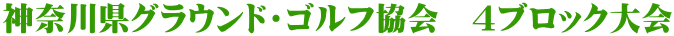 �_�ސ쌧�O���E���h�E�S���t����@�S�u���b�N���