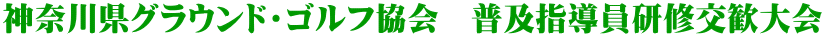 �_�ސ쌧�O���E���h�E�S���t����@���y�w�������C�������